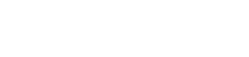 LeSportsac