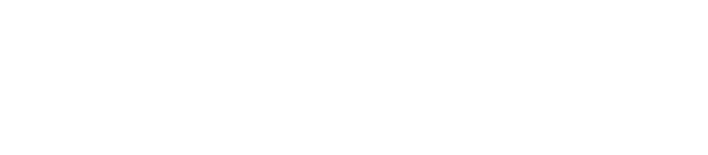 03 Mini N/S Tote